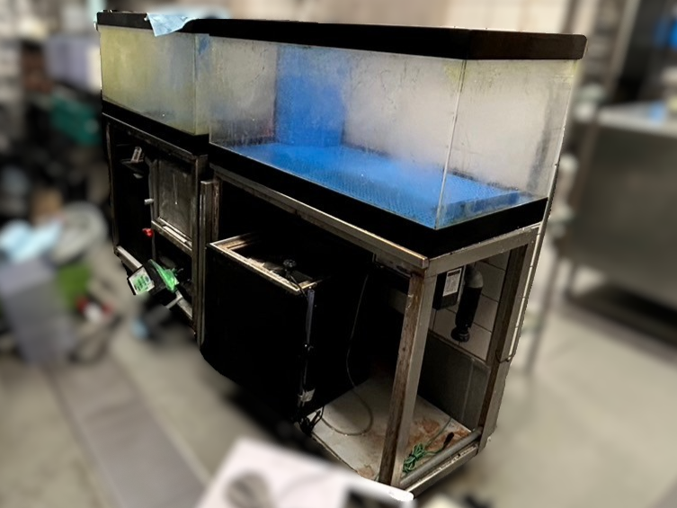 大阪府 活魚水槽 2台 入替作業 | ZENSUIブログ